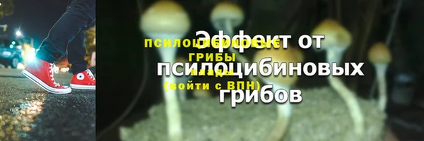 молекула духа Володарск