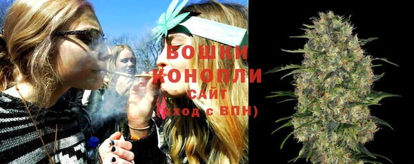 молекула духа Володарск