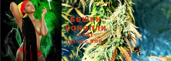 молекула духа Володарск