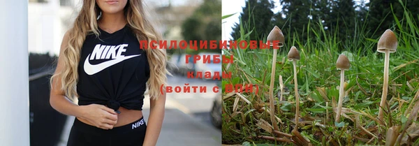 молекула духа Володарск